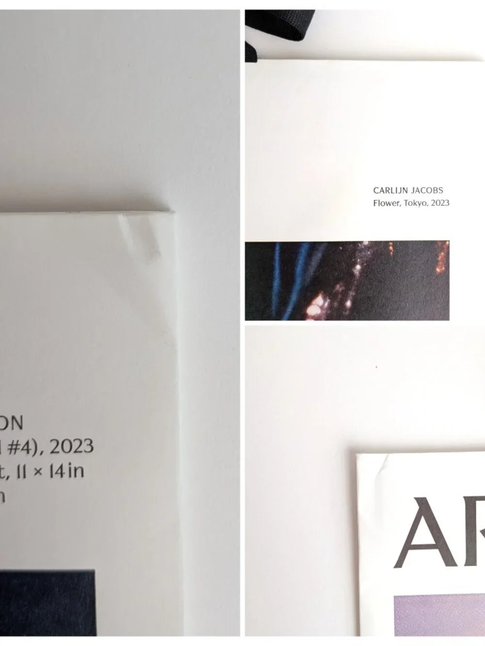 Lot of 4 Aritzia Artist Shopping Bags Gregory Crewdson Carlijn Jacobs Murphy